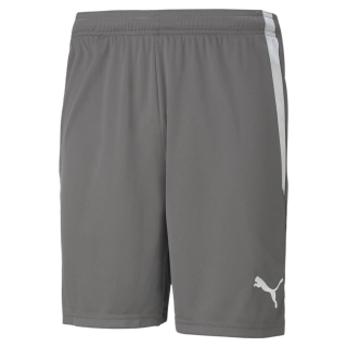 teamLIGA Short Smoked Pearl-Puma White