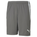 teamLIGA Shorts Smoked Pearl-Puma White