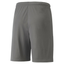 teamLIGA Shorts Smoked Pearl-Puma White