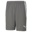 teamLIGA Shorts Smoked Pearl-Puma White