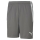 teamLIGA Shorts Smoked Pearl-Puma White