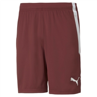 teamLIGA Shorts Cordovan-Puma White