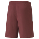 teamLIGA Shorts Cordovan-Puma White