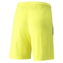 teamLIGA Short Fluo Yellow-Puma Black