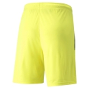 teamLIGA Shorts Fluo Yellow-Puma Black