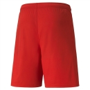 teamLIGA Shorts Puma Red-Puma White