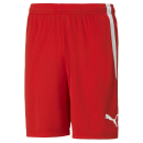 teamLIGA Short Puma Red-Puma White