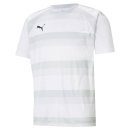 teamVISION Trikot Puma White-GlacierGray-Black