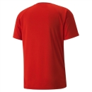 teamVISION Trikot Puma Red-Chili Pepper-White