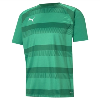 teamVISION Trikot PepperGreen-PowerGreen-White