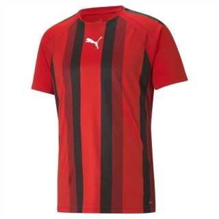 teamLIGA Striped Trikot Puma Red- Black- White