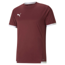 teamLIGA Jersey Cordovan-Puma White