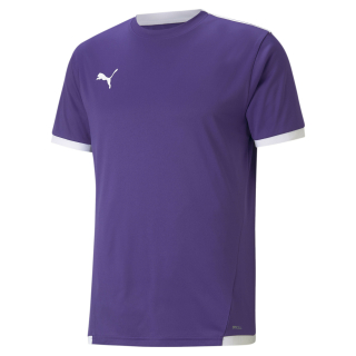 teamLIGA Trikot Prism Violet-Puma White