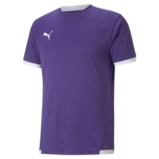 teamLIGA Trikot Prism Violet-Puma White