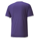 teamLIGA Jersey Prism Violet-Puma White