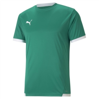 teamLIGA Jersey Pepper Green-Puma White