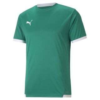 PUMA teamLIGA Jersey 704917 05