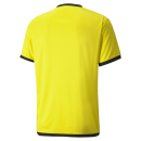 teamLIGA Trikot Cyber Yellow-Puma Black