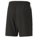 teamLIGA Sideline Shorts Puma Black-Puma White