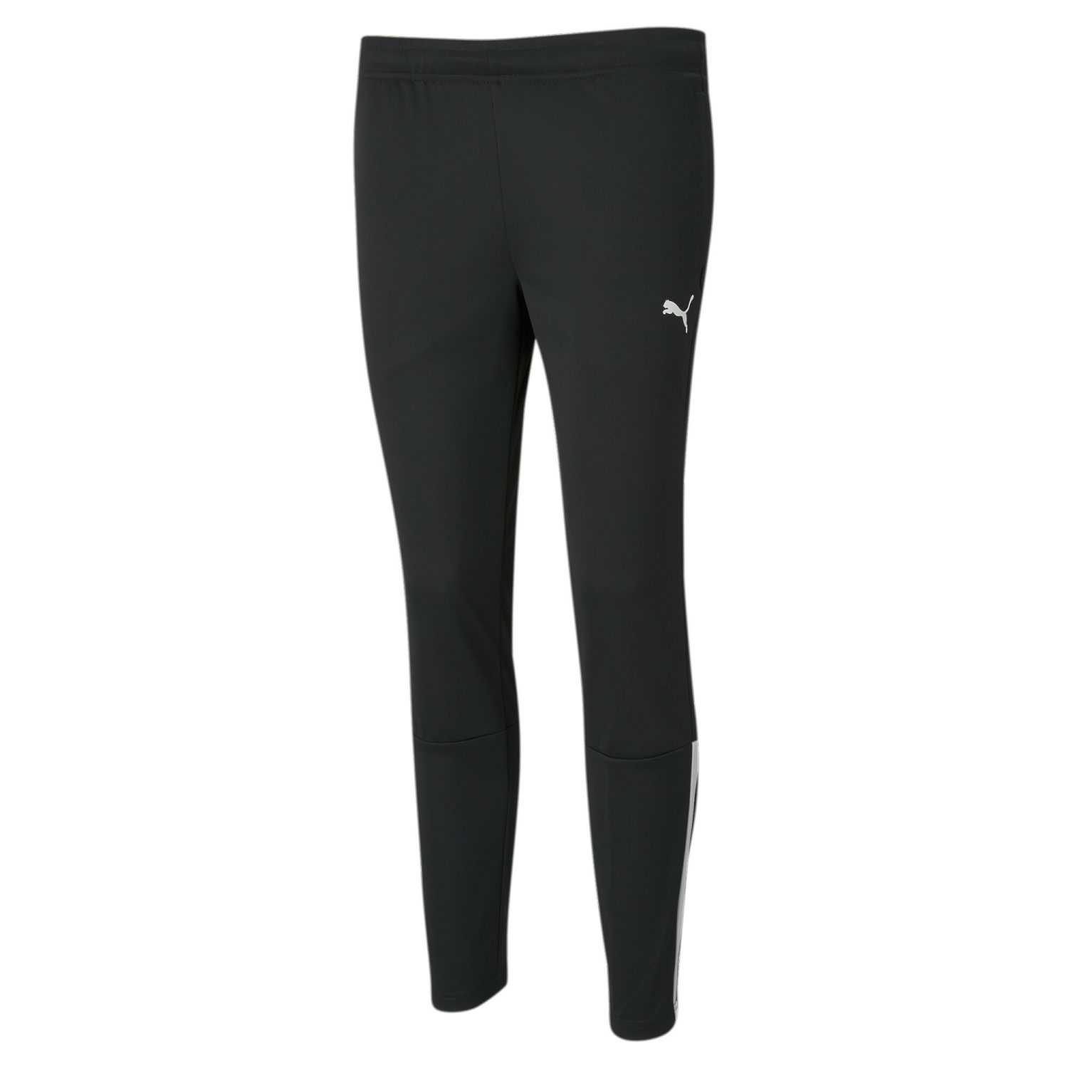 PUMA teamLIGA Training Pants W 657254 03