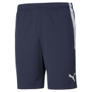 teamLIGA  Trainingsshort Peacoat-Puma White