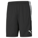 teamLIGA  Trainingsshort Puma Black-Puma White