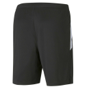 teamLIGA  Trainingsshort Puma Black-Puma White