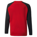 teamLIGA Training Sweat Jr Puma Red-Puma Black