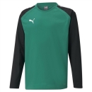 teamLIGA Training Sweat Jr Pepper Green-Puma Black