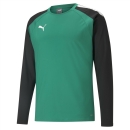 teamLIGA Trainingssweat Pepper Green-Puma Black