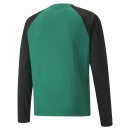 teamLIGA Training Sweat Pepper Green-Puma Black