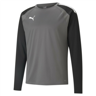 teamLIGA Training Sweat Smoked Pearl-Puma White