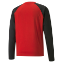 teamLIGA Training Sweat Puma Red-Puma Black