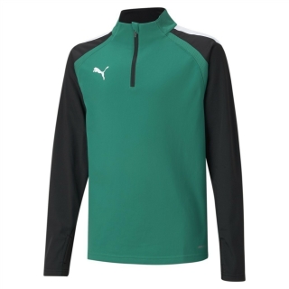 teamLIGA 1/4 Zip Top Jr Pepper Green-Puma Black