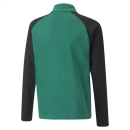 teamLIGA 1/4 Zip Top Jr Pepper Green-Puma Black