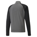 teamLIGA 1/4 Zip Top Smoked Pearl-Puma White