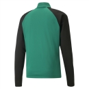 teamLIGA 1/4 Zip Top Pepper Green-Puma Black