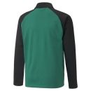 teamLIGA Training Jacket Jr Pepper Green-Puma Black