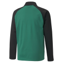 teamLIGA Training Jacket Jr Pepper Green-Puma Black