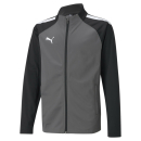 teamLIGA Trainingsjacke Junior Smoked Pearl-Puma White