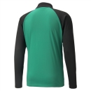 teamLIGA Trainingsjacke Pepper Green-Puma Black