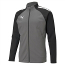 teamLIGA Trainingsjacke Smoked Pearl-Puma White