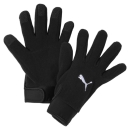 teamLIGA 21 Winter gloves Puma Black