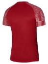 Youth-Jersey ACADEMY university red/white YL