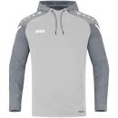 Hooded sweater Performance soft grey/stone grey XL