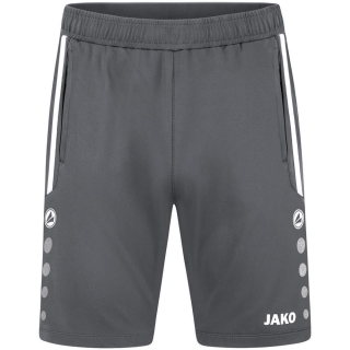 Training shorts Allround anthra light L