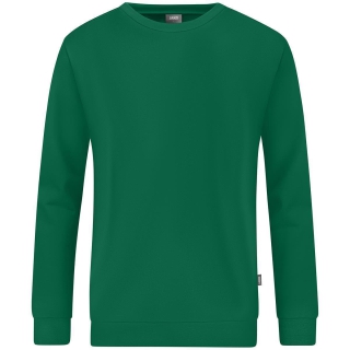 Sweater Organic green