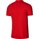 Polo ACADEMY 23 university red/gym red