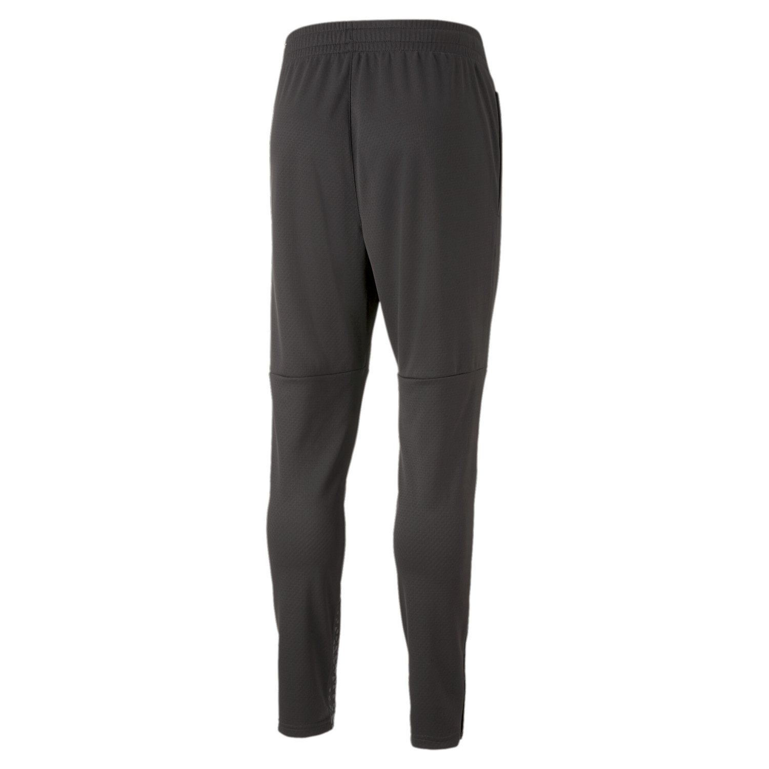 PUMA teamCUP Training Pants 658369 03