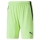 teamLIGA Short Fizzy Lime-Puma Black